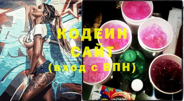 крисы Новозыбков