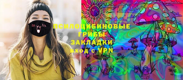 крисы Новозыбков