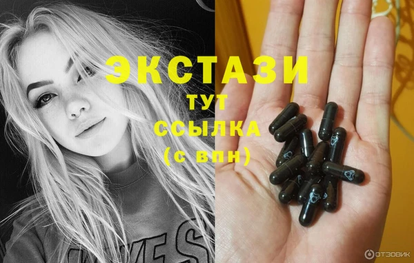 крисы Новозыбков