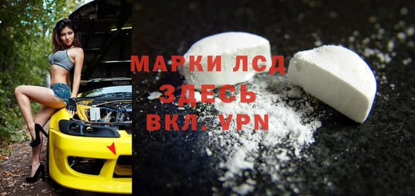 крисы Новозыбков