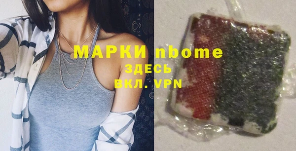 крисы Новозыбков