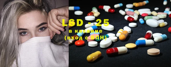 крисы Новозыбков
