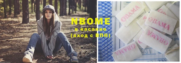 крисы Новозыбков