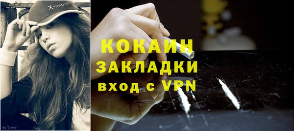 крисы Новозыбков