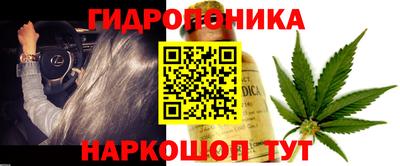 ECSTASY Донецк