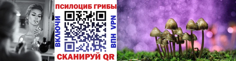 мега рабочий сайт  купить наркоту  Кимры  Псилоцибиновые грибы Magic Shrooms 