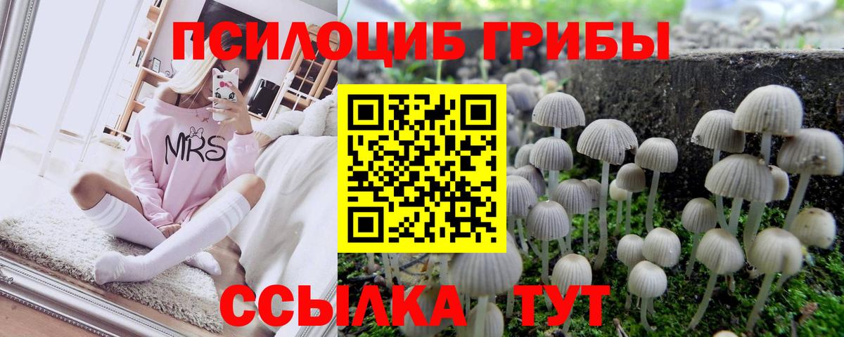 Псилоцибиновые грибы GOLDEN TEACHER  Вход с VPN  Кимры  Псилоцибиновые грибы прущие грибы 