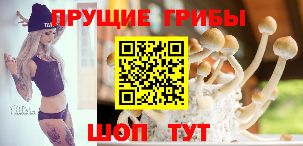 Псилоцибиновые грибы MAGIC MUSHROOMS  Кимры 