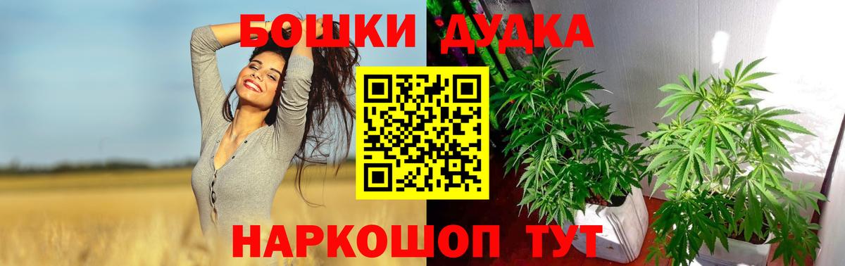 Шишки марихуана Ganja  Конопля семена  Бошки марихуана планчик  Канабис MAZAR  Кимры 